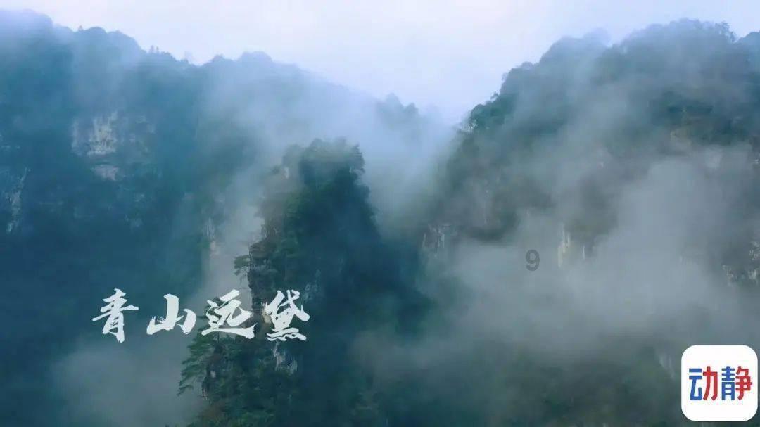 新仇旧恨4：上官林充当社会大哥